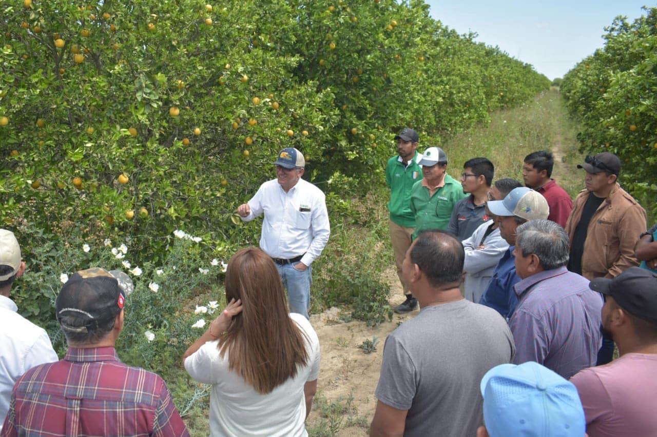 Capacita Secretaría de Desarrollo Rural a citricultores en combate a plagas