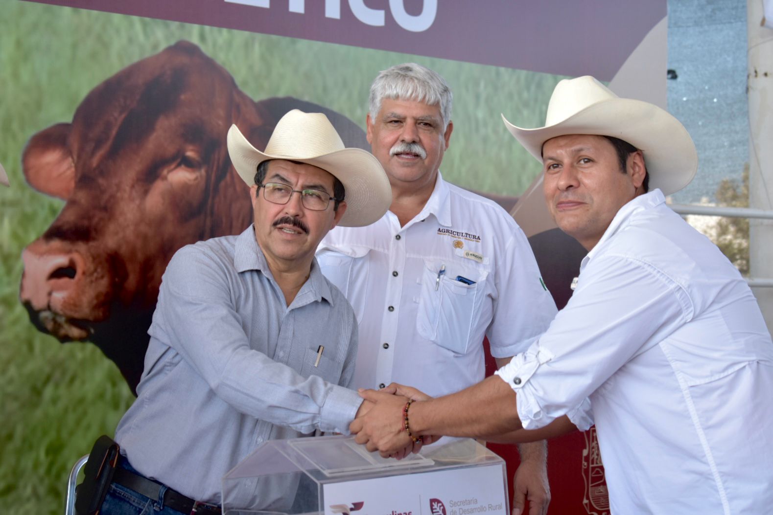 Renuevan hatos ganaderos de Tamaulipas con Programa de Mejoramiento Genético