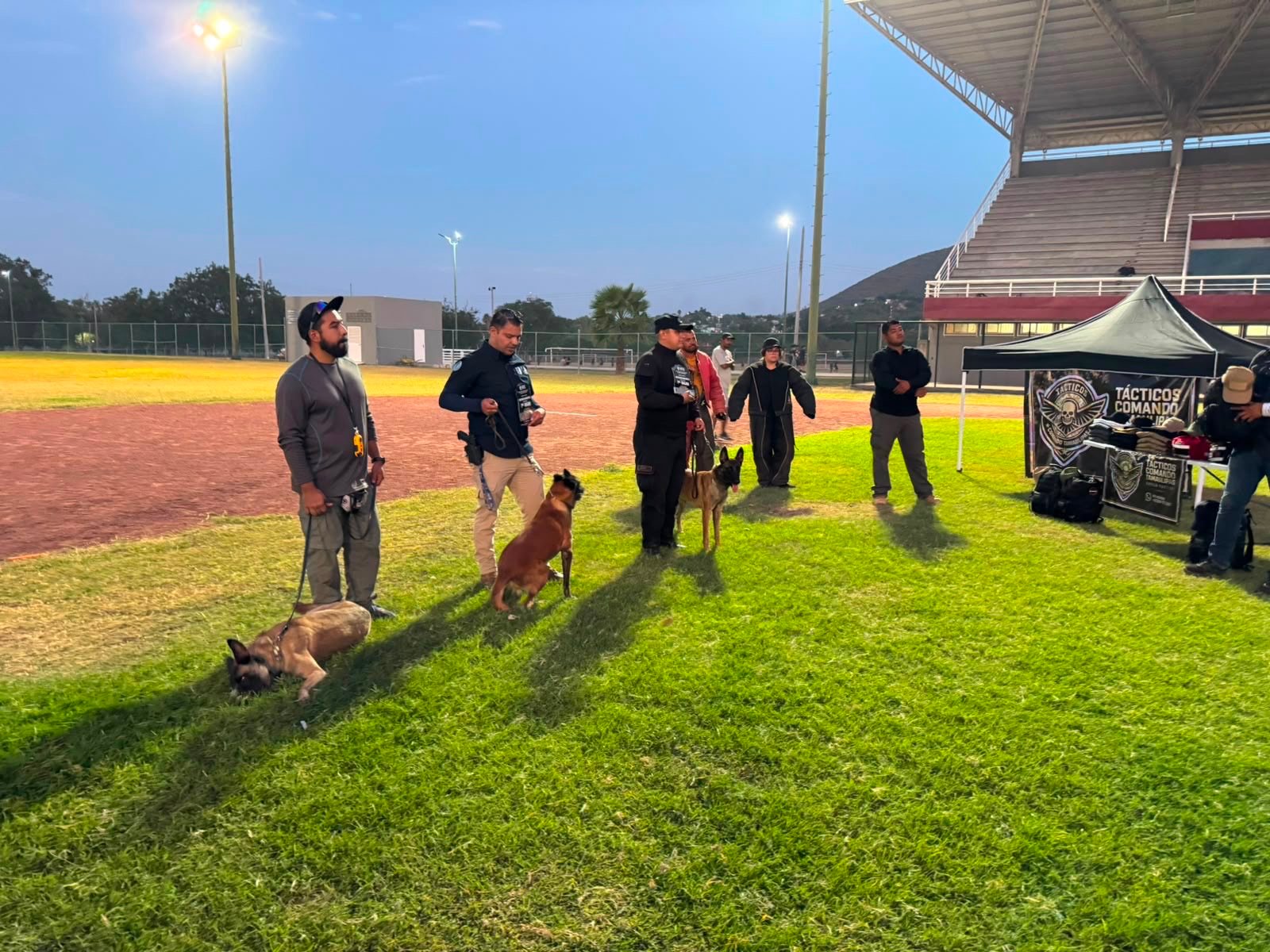 Obtienen binomios K-9 de la Guardia Estatal primeros lugares de su especialidad en certificación canina